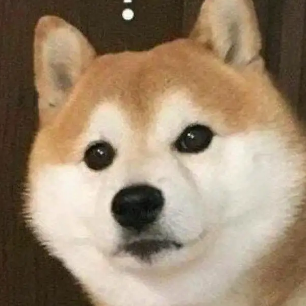 行将就木
