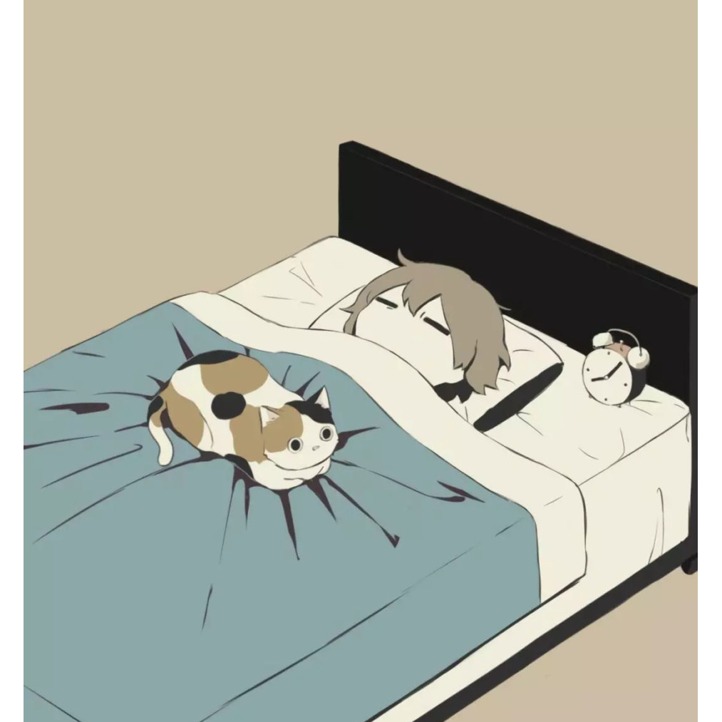 好好睡一觉吧。