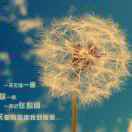 柳相国