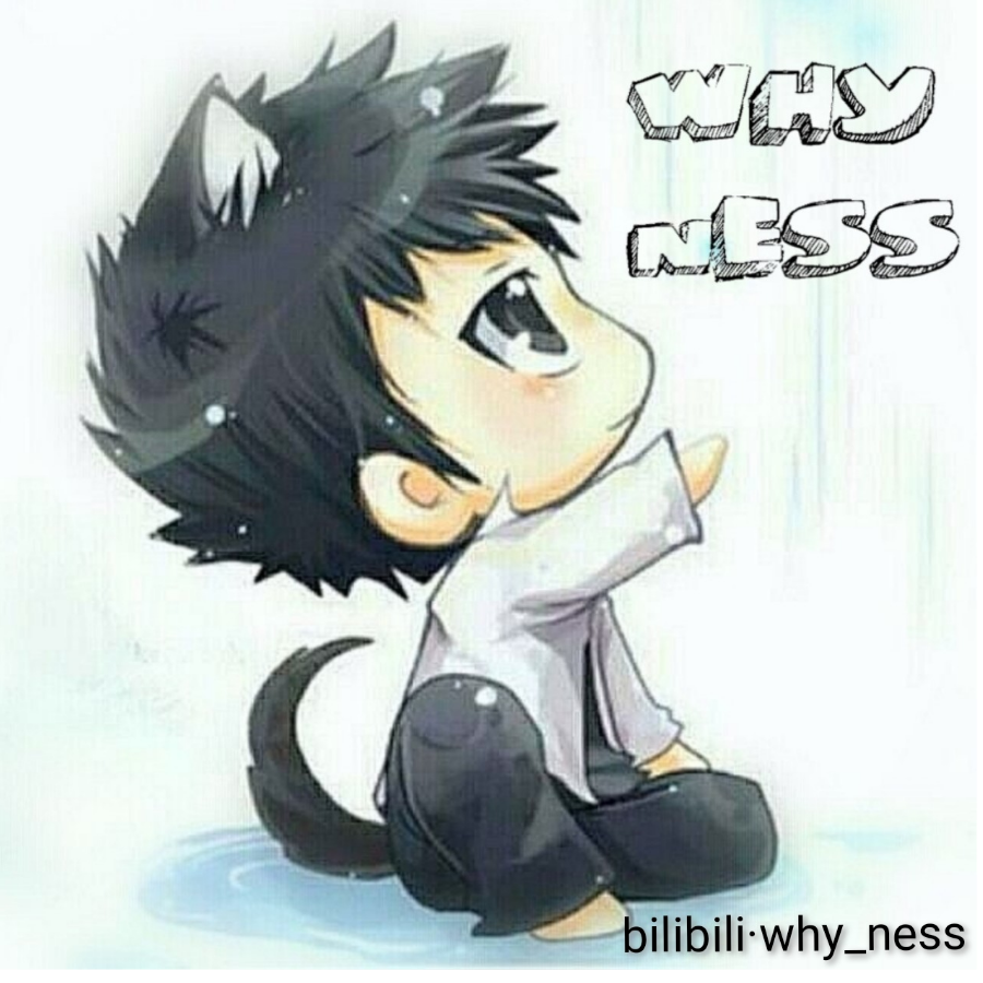 why_ness