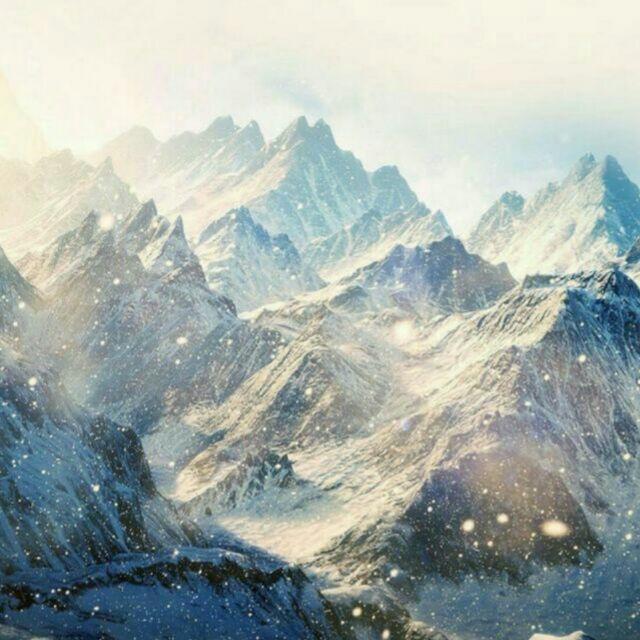 龘Y(＾_＾)Y龘