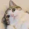 Tom