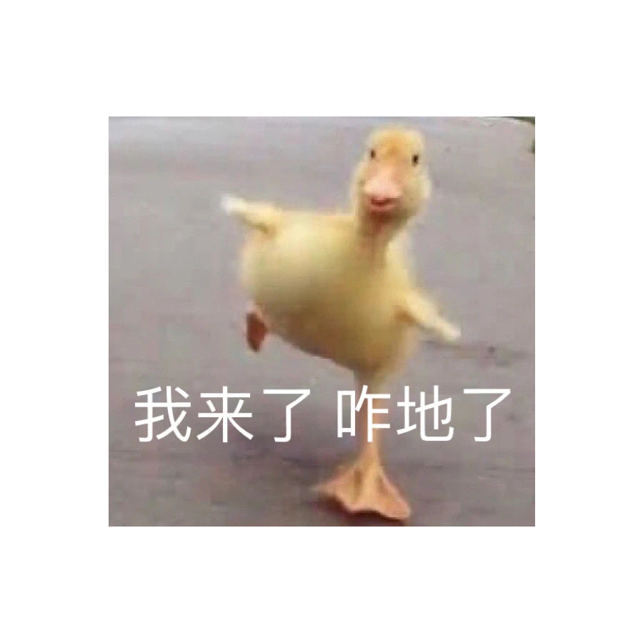 情书寄给山鬼