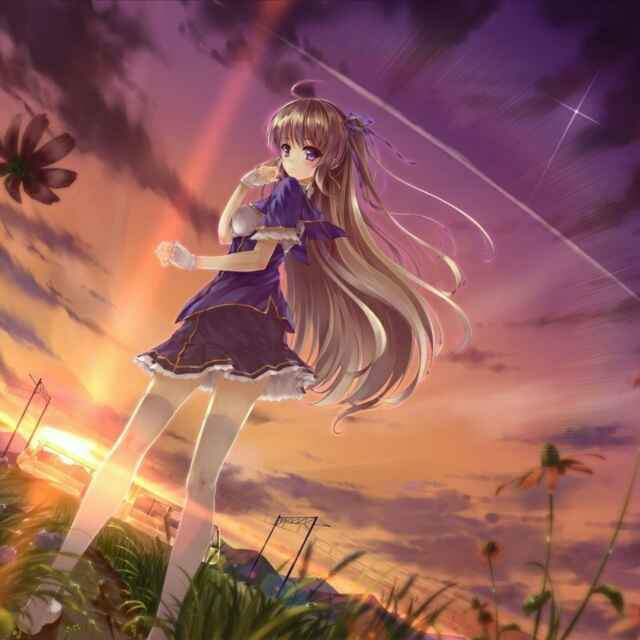 轻放未来