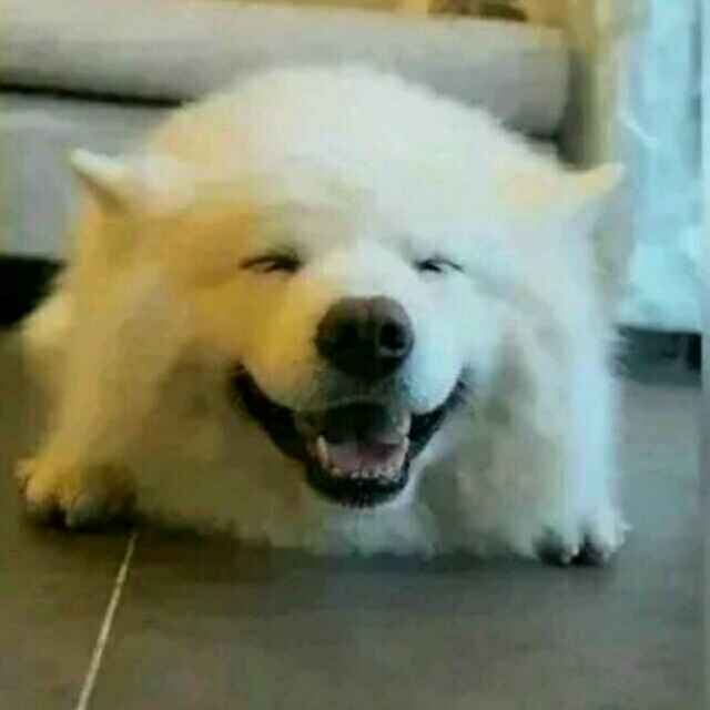 没心没肺才快乐จุ๊บ🌾°ོ