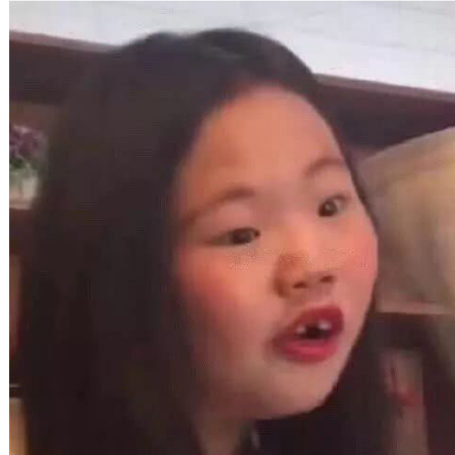 皮皮是我的最爱