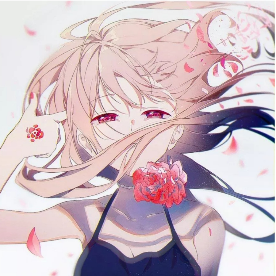 六花赛高