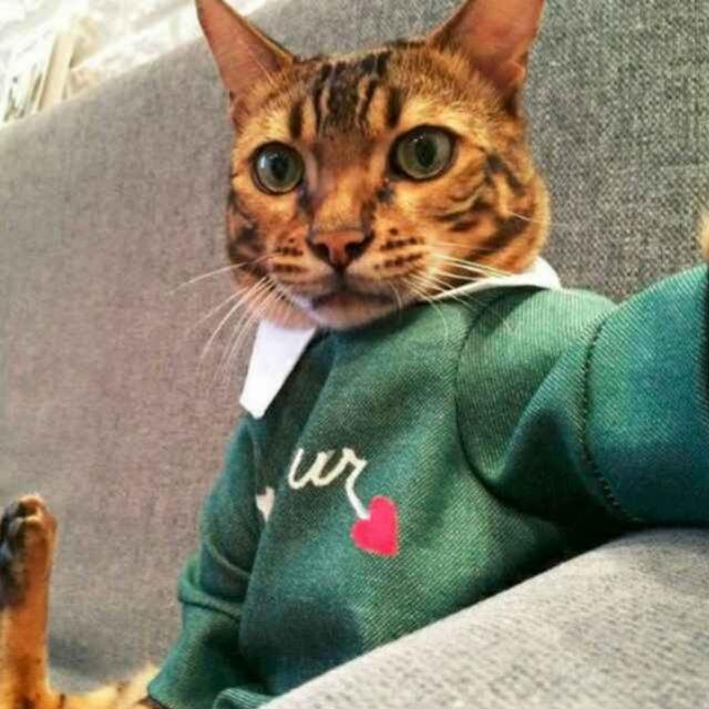 正青春少年。