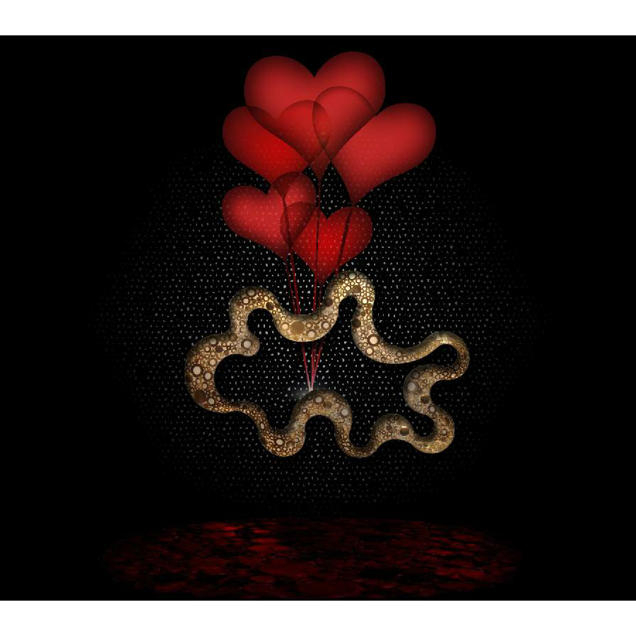 他和她的孤独情事