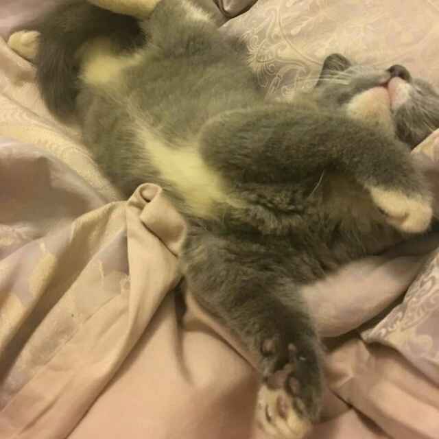 还是别犯病