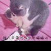回首灬过去
