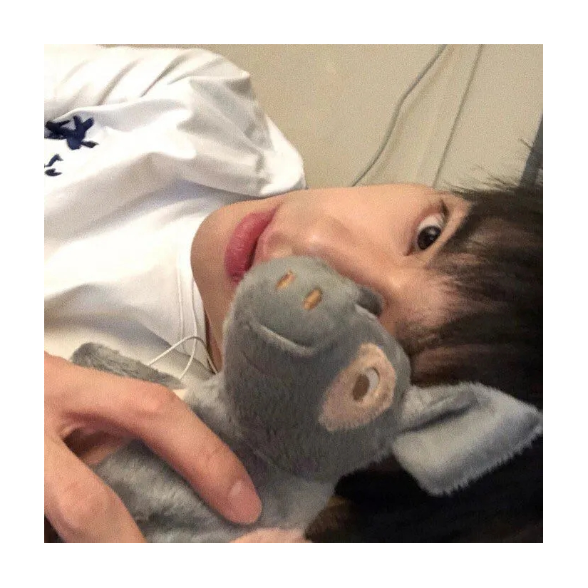 爱吃菜的小狼