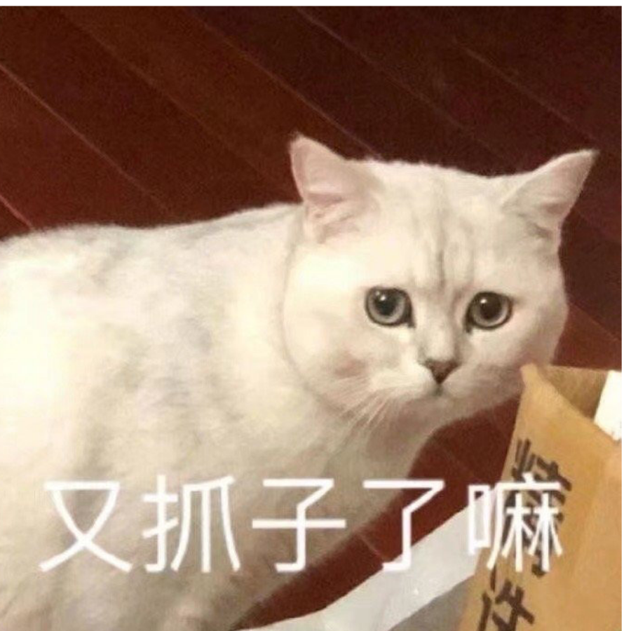硕鼠