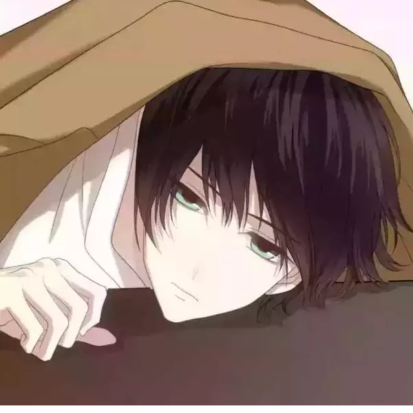 少年觎 /十四行诗