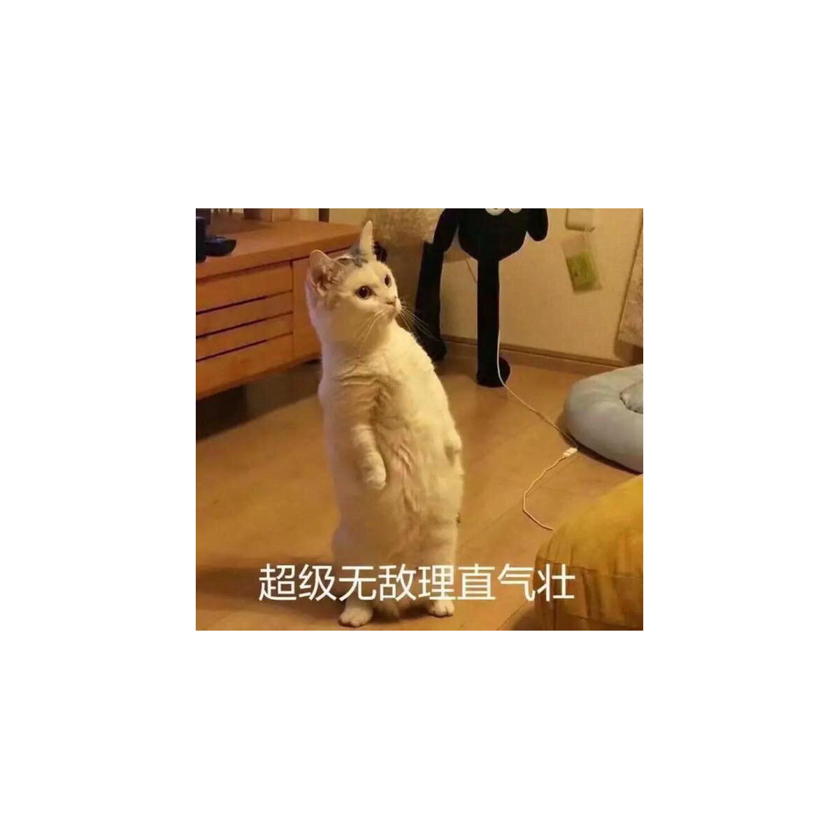 林蛋大