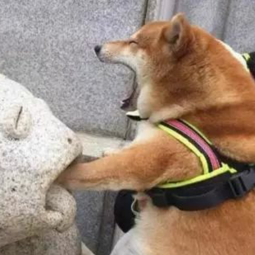 噗噜噗噜