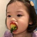 赵赵.