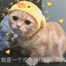 喜欢你.🍓