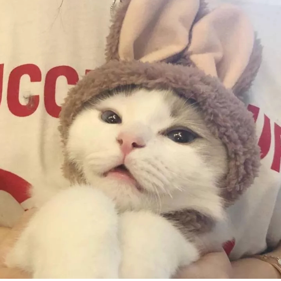 别闹.