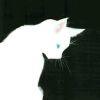 月猴