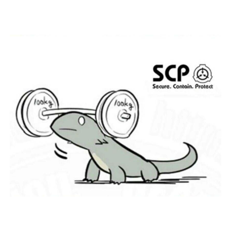 SCP682