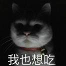 南苑笙花