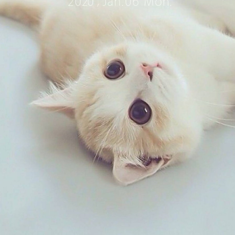 颜小听