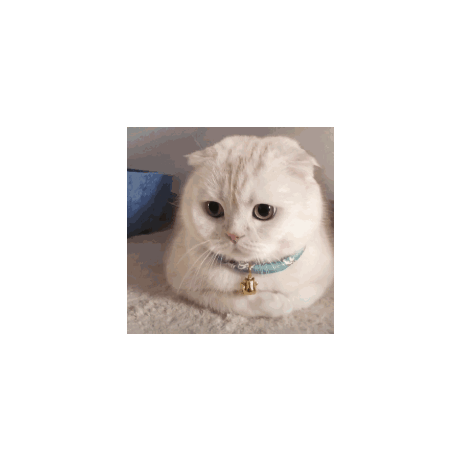 小熊熊