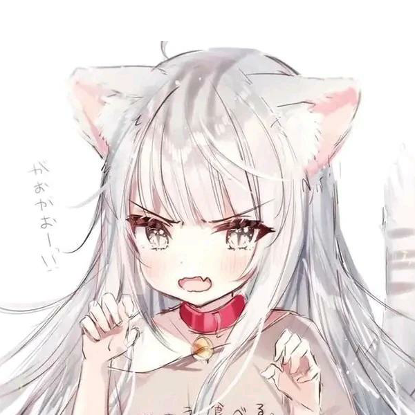User123040221