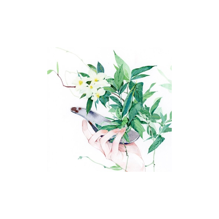 素手换清风