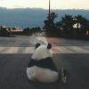 想不到