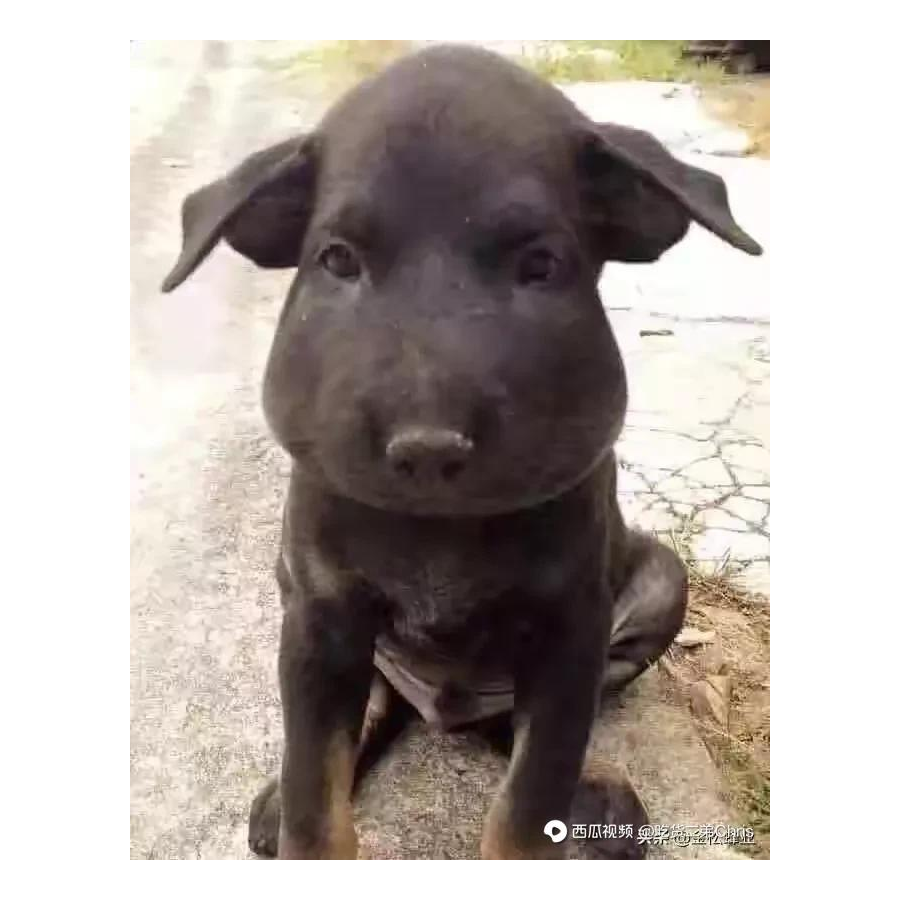 丨命中注定丨