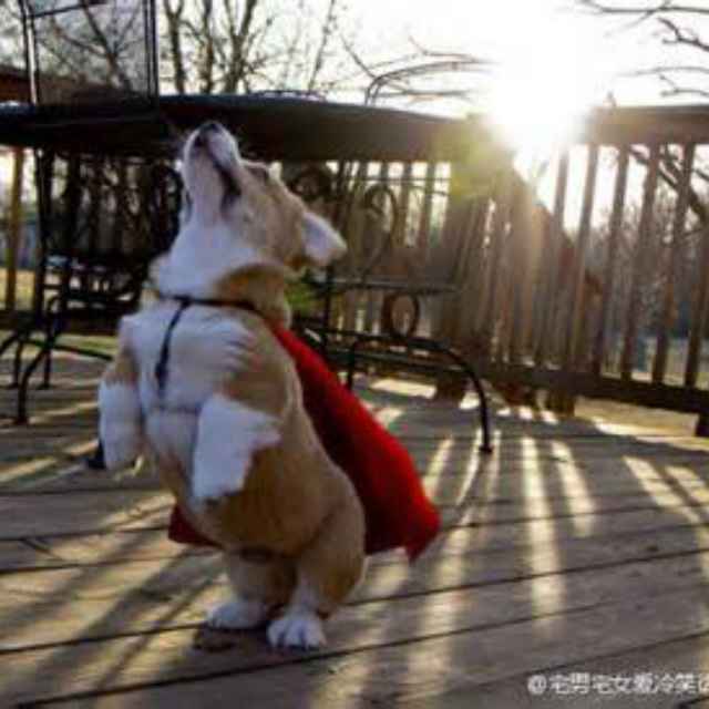 发疯的神父