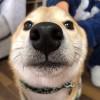 红红火火恍恍惚惚