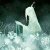 白いバラの夜