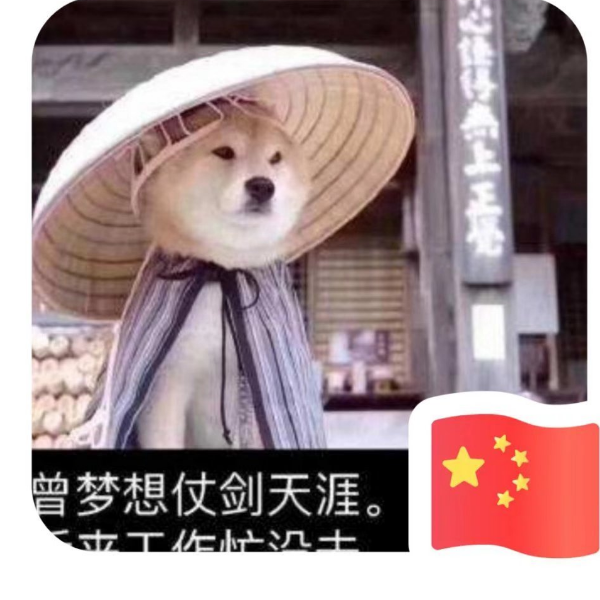 暗影狼烟
