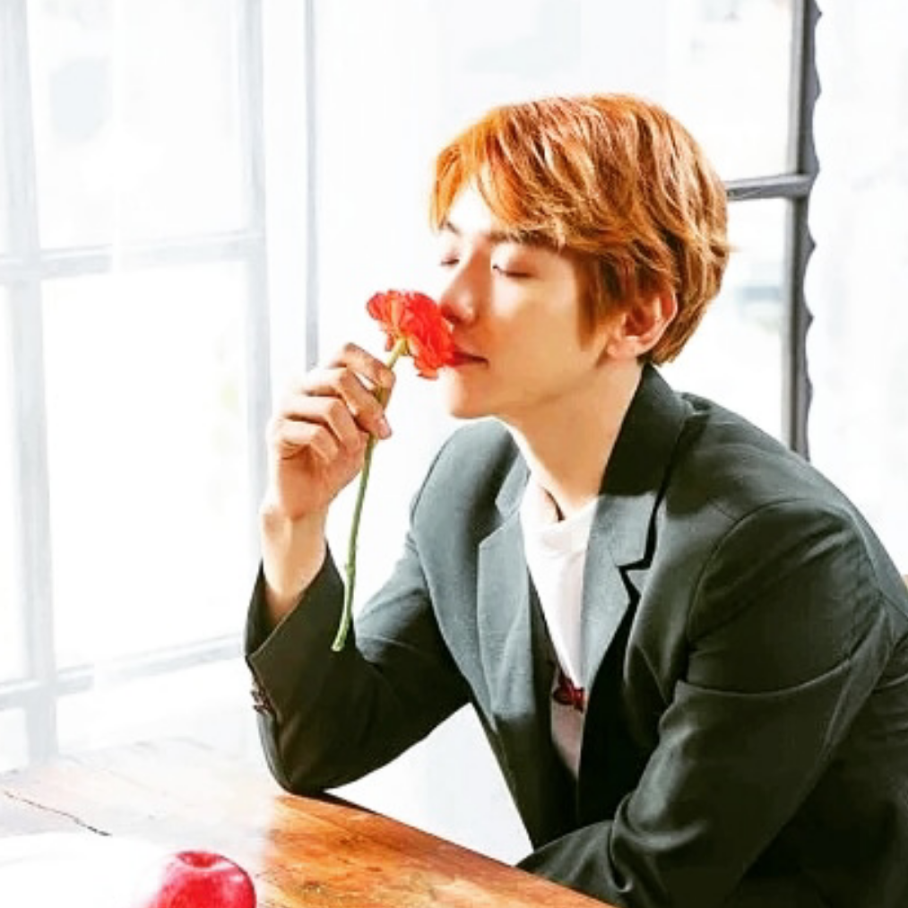 天才爱豆啵啵虎