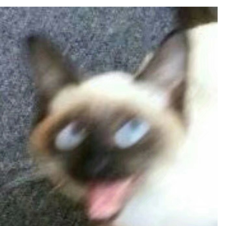 灰子