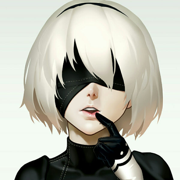 NieR