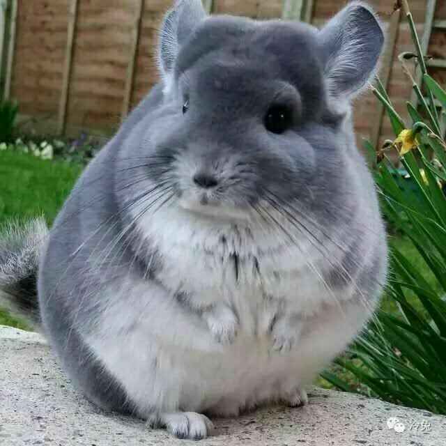 小二