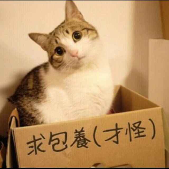 烟雨无尘