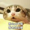 汪汪汪