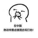 猴子派来的