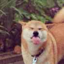 一个触发尸潮的炼金师