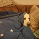 是信仰亦会发光