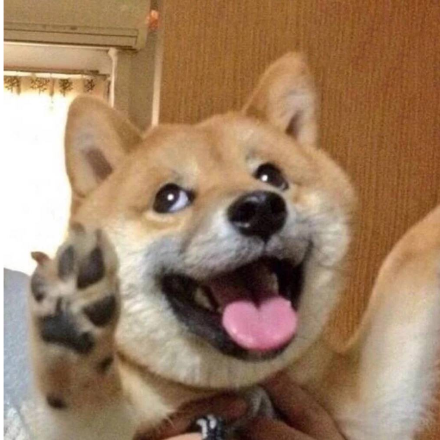 李孟孟还在玩？