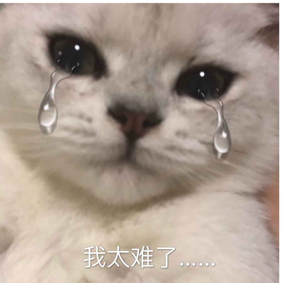阿童木
