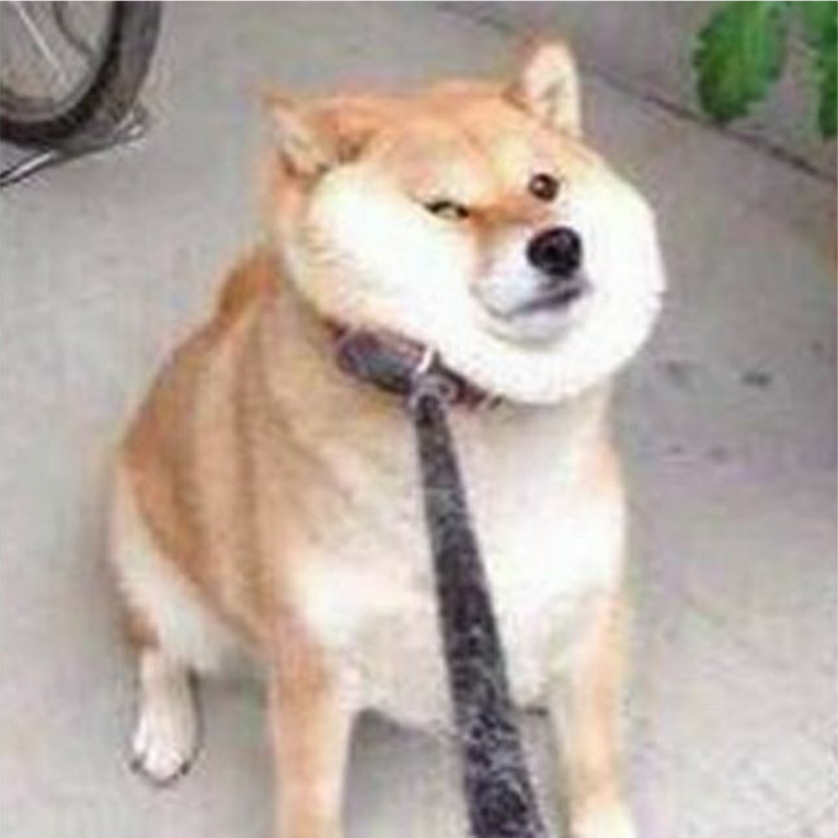 摸鱼