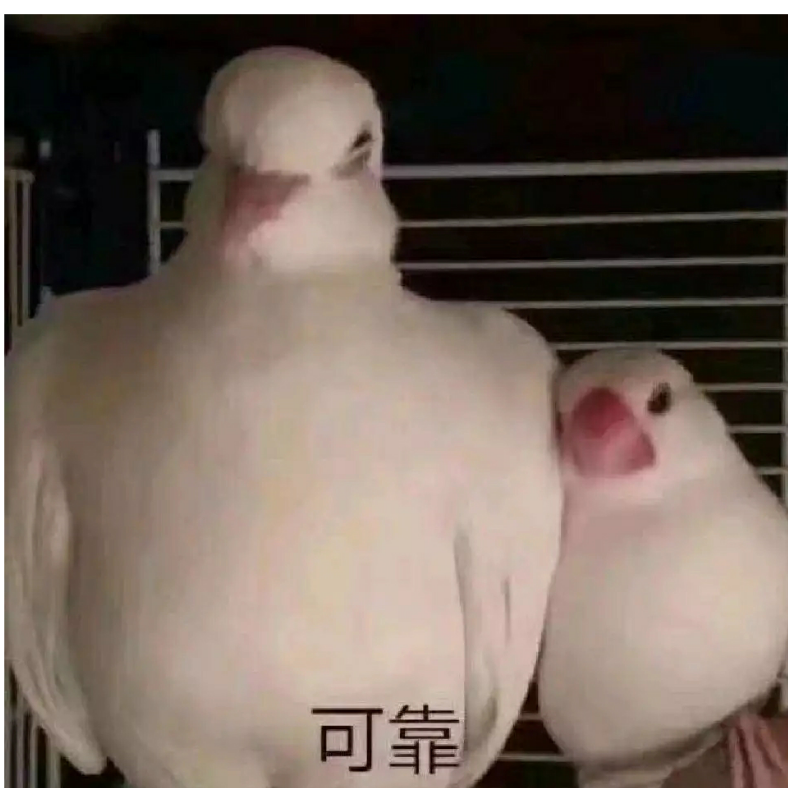 千栀子