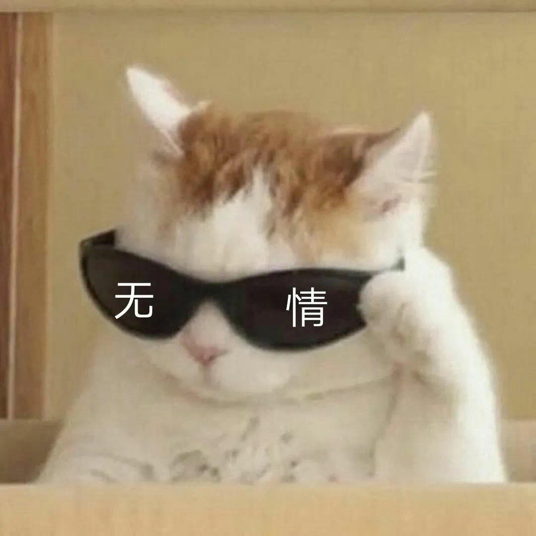南城今天开心